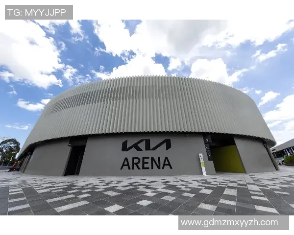 深入分析上海网球队的运营策略与市场推广模式