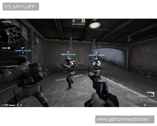 王磊深度解析CSGO游戏技巧与心得分享助你提升竞技水平