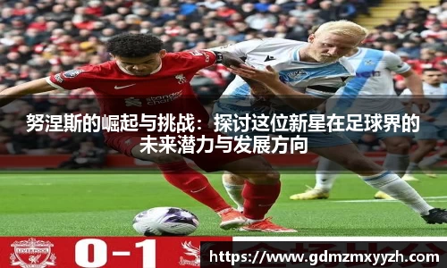 努涅斯的崛起与挑战：探讨这位新星在足球界的未来潜力与发展方向