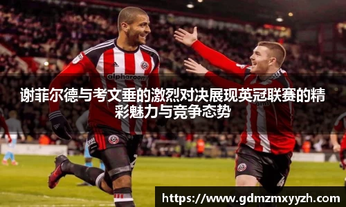 谢菲尔德与考文垂的激烈对决展现英冠联赛的精彩魅力与竞争态势