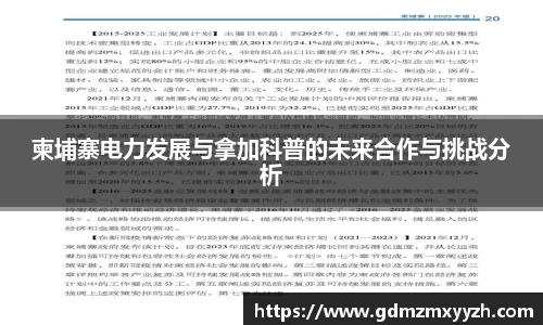 柬埔寨电力发展与拿加科普的未来合作与挑战分析