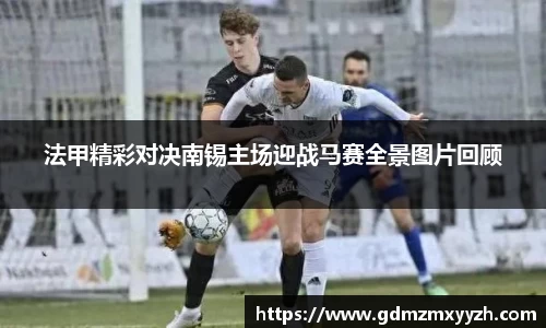 法甲精彩对决南锡主场迎战马赛全景图片回顾