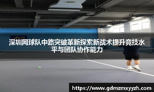 深圳网球队中路突破革新探索新战术提升竞技水平与团队协作能力