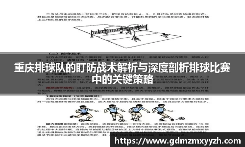 重庆排球队的盯防战术解析与深度剖析排球比赛中的关键策略