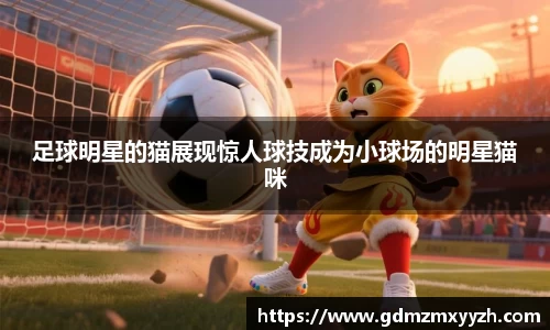 足球明星的猫展现惊人球技成为小球场的明星猫咪